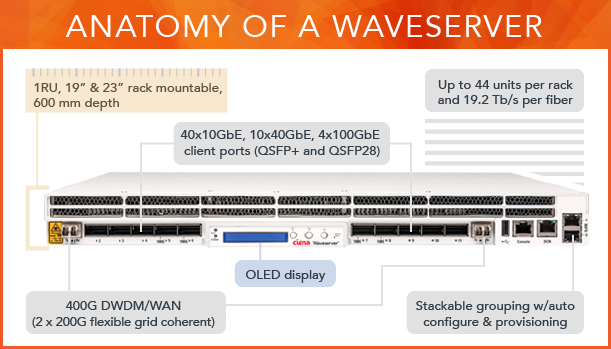 186-1600-900 Ciena Waveserver AI 400G IO Module