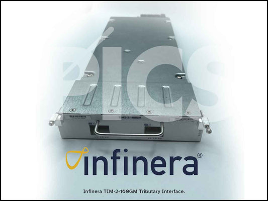 TIM2-2-100GM